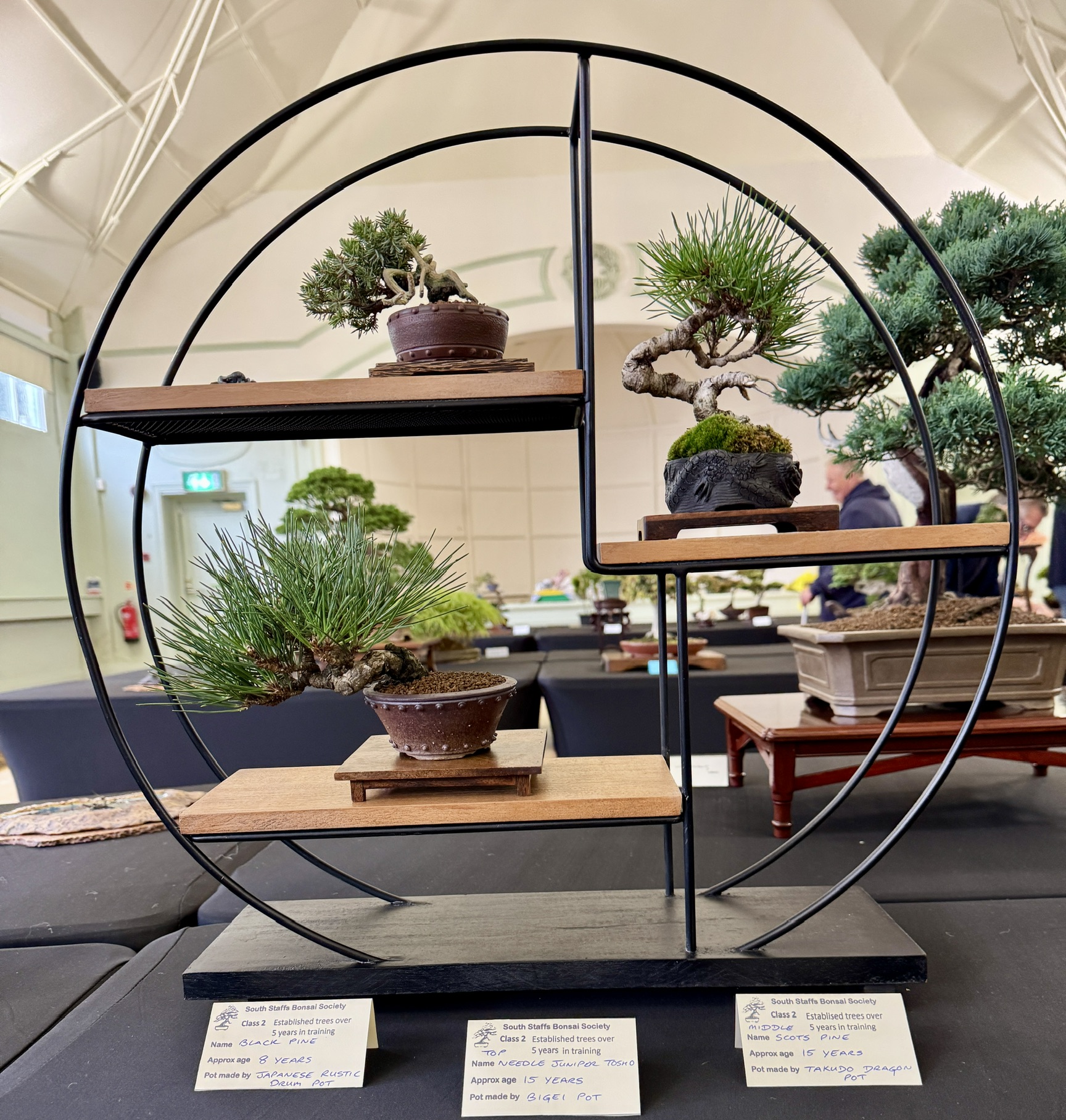 Small bonsai arranged in a circular display stand