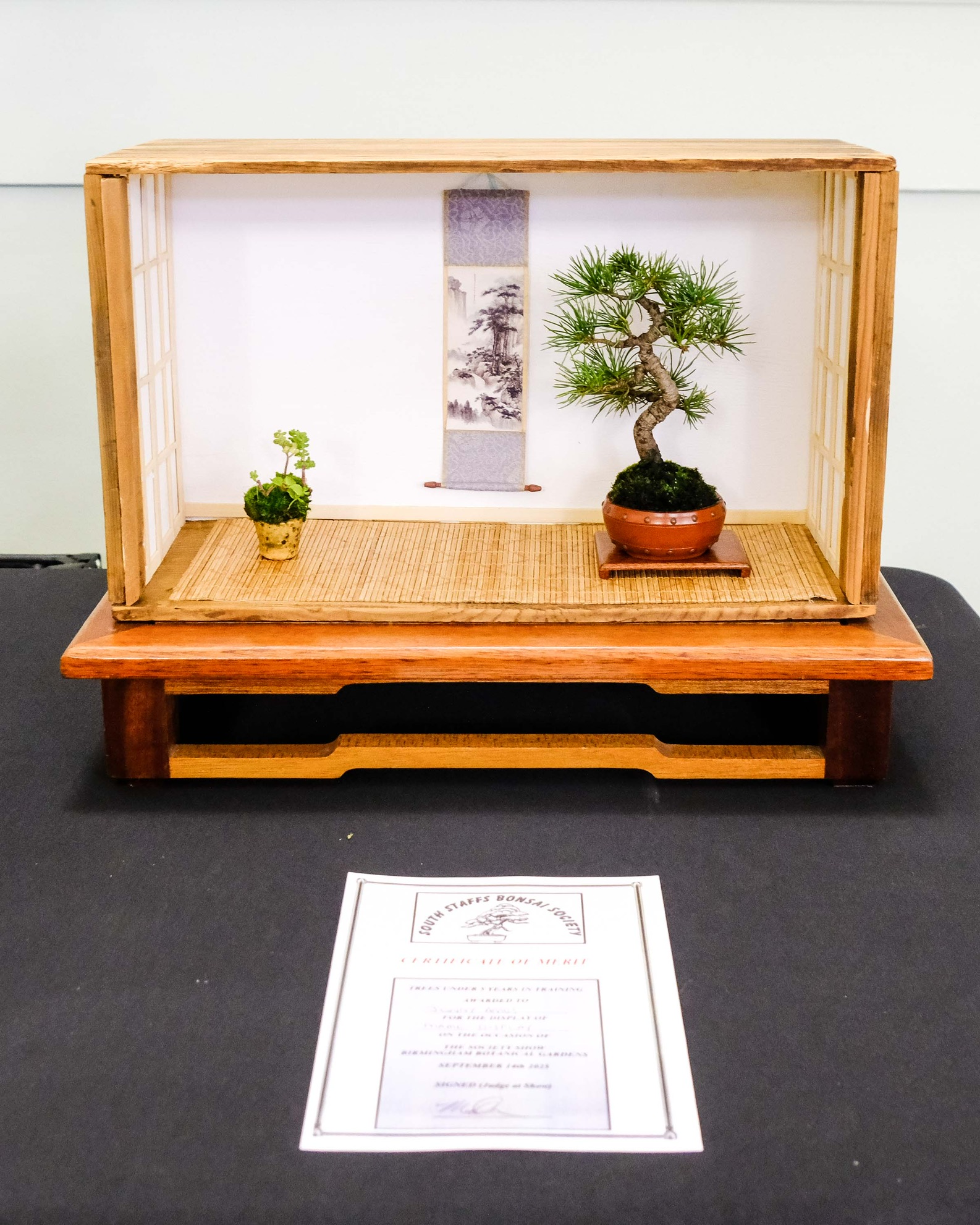 Bonsai and accent plant in a wooden display frame