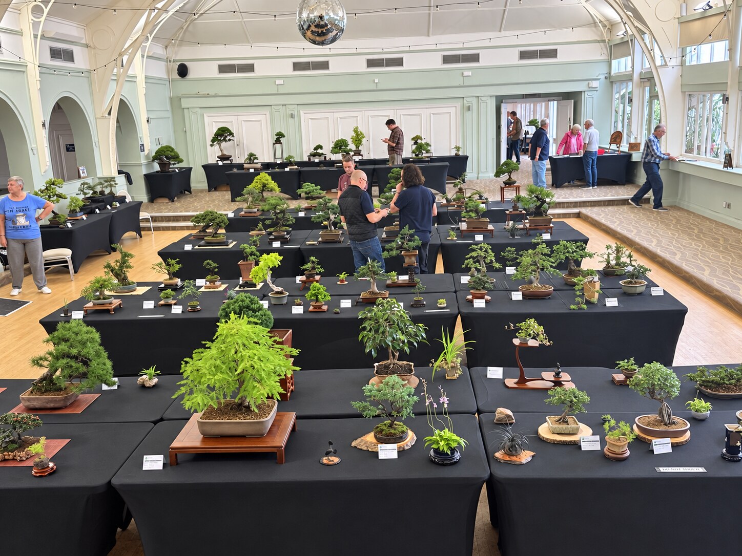 Wide view of the exhibition at Birmingham Botanical Gardens