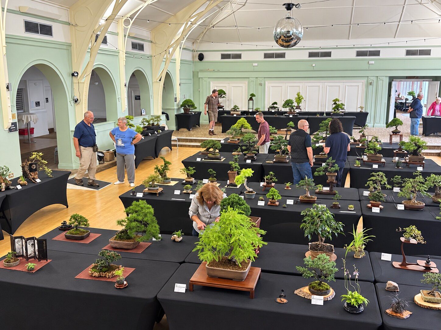 Annual Bonsai Show 2026 exhibition hall and member displays