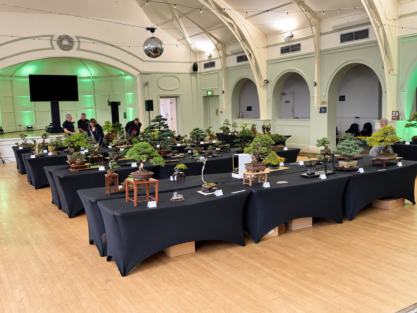 Wide view of the Annual Bonsai Show 2026 exhibition hall and displays