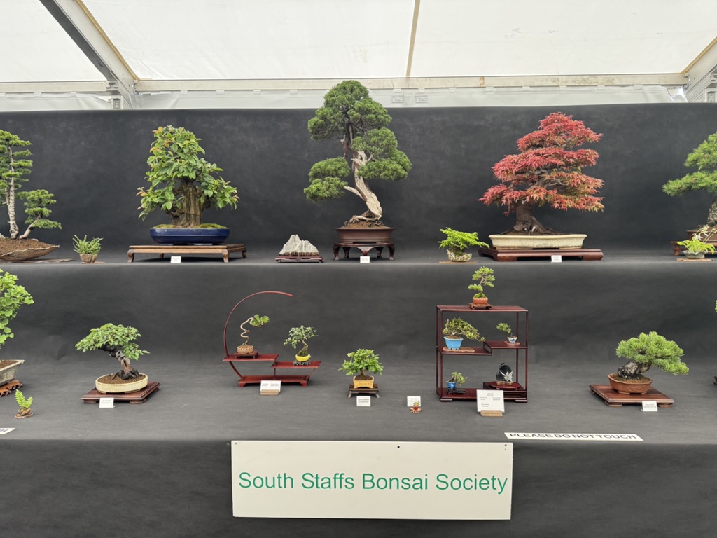 South Staffs Bonsai Society display at Gardeners World Live, Birmingham 2026