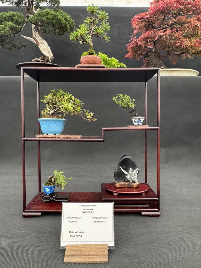 Miniature bonsai and a decorative stone displayed on a wooden shelf