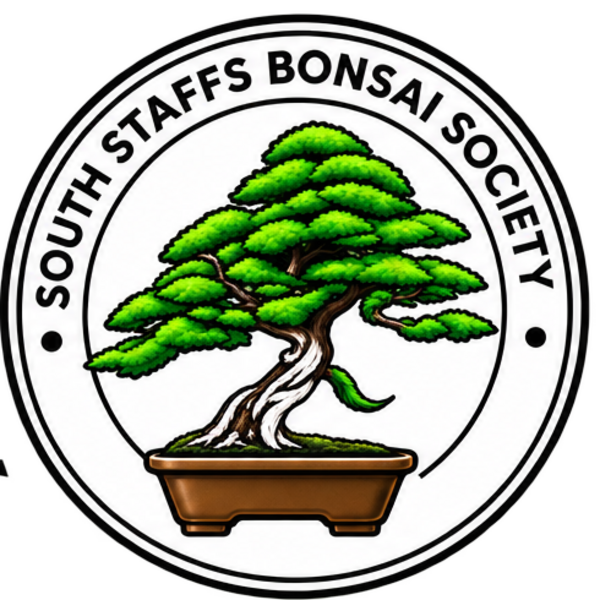 South Staffs Bonsai Society logo